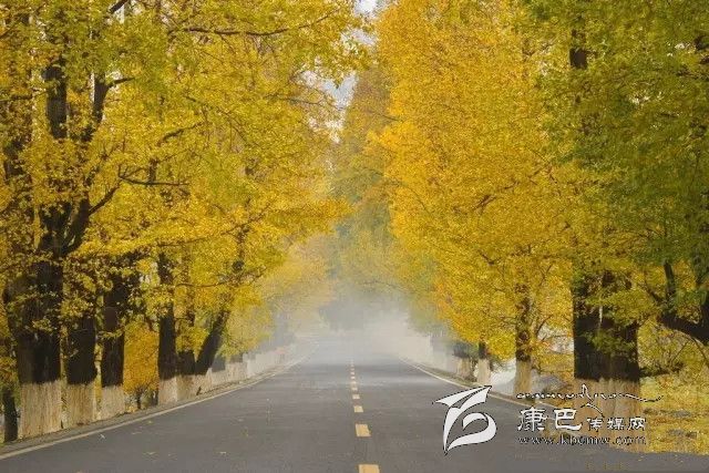 康定新都橋，有一條黃金大道通往夢中的天堂