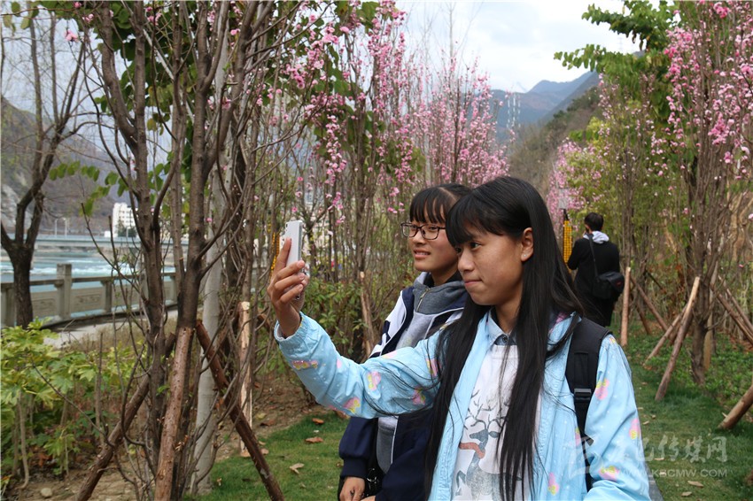 春光俏！“醉”是瀘定春三月，踏青賞花正當(dāng)時