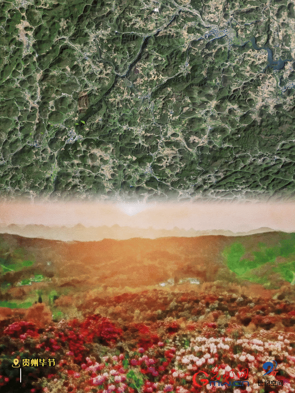 清明游玩賞花圖鑒來(lái)了！衛星鏡頭帶你先睹為快