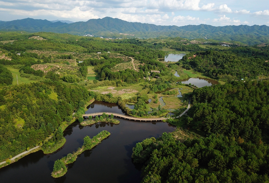 福建省龍巖市長(cháng)汀縣的長(cháng)汀汀江國家濕地公園景色（2020年7月28日攝，無(wú)人機照片）。新華社記者 魏培全 攝
