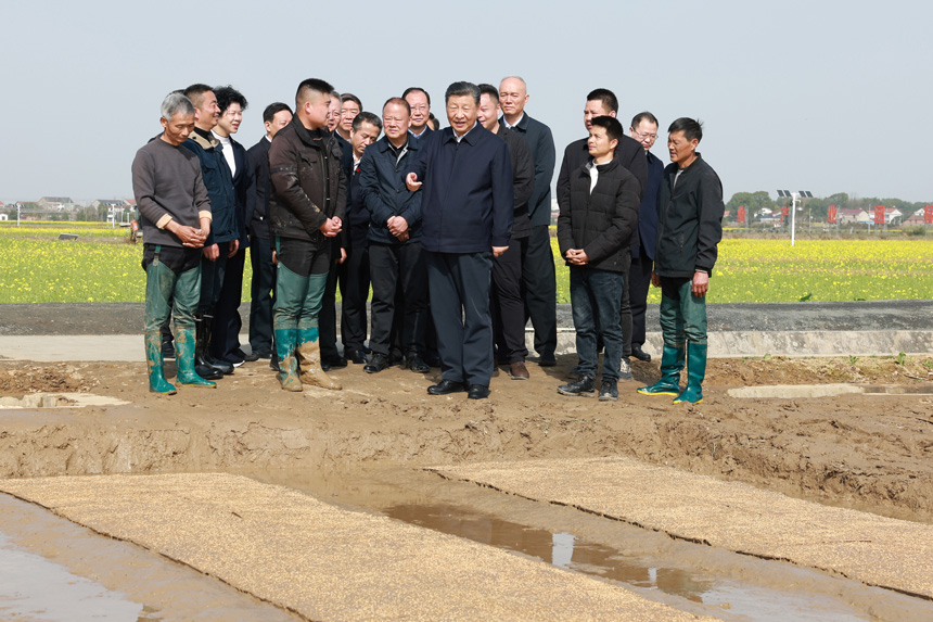 2024年3月18日至21日，中共中央總書(shū)記、國家主席、中央軍委主席習近平在湖南考察。這是19日下午，習近平在常德市鼎城區謝家鋪鎮港中坪村走進(jìn)田間，察看秧苗培育和春耕備耕進(jìn)展。新華社記者 王曄 攝